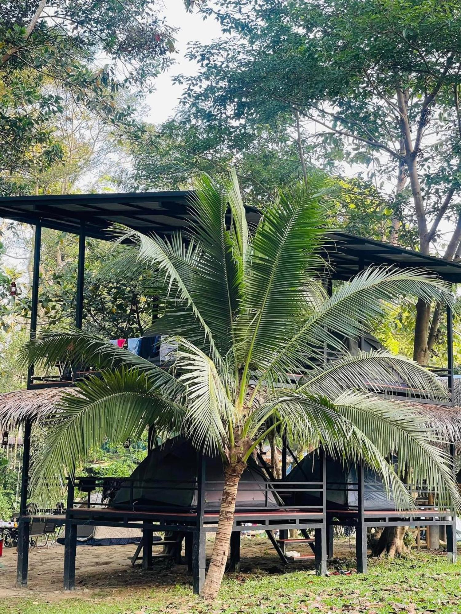 Khao Sok National Park Khaosok Monkeys & River Camps מראה חיצוני תמונה